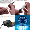 high quality Plastic 150-LED 12V-5050RGB IR44 Light Strip Set with IR Remote Controller (White Lamp Plate)