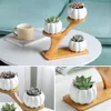 3 Tier Indoor Desk With Drainage Pumpkin Succulent Pots Mini Home Office Garden Decoration Bamboo Stand Set Planter Modern Y200723