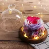 Decoração caseira rosa real em cúpula de vidro led flor seca exclusiva para casamento dia dos namorados presentes de natal5350502
