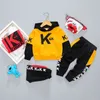 Lente kinderen peuterkleding baby jongens meisjes kleding pak baby kinderen sport hoodies trui broek 2 stks/sets 0-4 jaar 201127