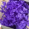 Dekorativa blommor kransar 2g verklig naturlig färskt bevarad hortensia headsdried för evigt ros evig hortensébeauty nagel art4308930