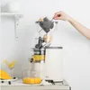 fruit plantaardige juicers