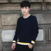 Nouveaux hommes pull nouvelle édition coréenne en peluche à manches longues chemise tricotée jeunesse cent-ensemble chandail col rond pardessus 201021