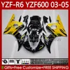 Bodykit für Yamaha YZF-R6 YZF600 YZF R6 600CC 2003–2005 Verkleidung 95No.204 YZF R 6 YZFR6 03 04 05 Karosserie YZF-600 600 CC Yellow Flames 2003 2004 2005 Motorradverkleidung