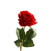 시뮬레이션 장미 단일 실크 꽃 43 * 8cm 인공 꽃 9colors 홈 장식 T10i131에 대 한 발렌타인 데이 선물 결혼식 꽃