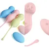 NXY Vagina Balls Female Male Vibrating Egg Sex Toy Rechargeable Couple Toys Adult Novelty Product1211