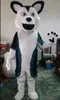 Halloween husky mascot kostym toppkvalitet tecknad plysch djur anime tema tecken vuxen storlek jul karneval festival fancy klänning