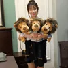 The kings eternal Big Minomi lion Cute plush Doll Stuffed Toys The Lee MinHo Longlegged king gifts for girls LJ2011261509782