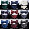 Bow Ties LH2024 Hitie Classic Butterfly Self Tie Green for Men Pocket Square Cufflinks Set Set Fashion Silk Bowtie Set11471098