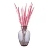 15pcs naturel séché petite pampa herbe blanc rose couleur fleurs de mariage décoration bouquet phragmites lapin queue herbe bouquet 201222