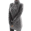 Осенняя зимняя женщина свитер водолаз