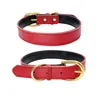 Gold Pin Buckle Dog Collar Liing Leashes verstelbare mode lederen honden kragen nek huisdier benodigdheden accessoires