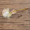 24K Gold Foil Rose Flower Party Favor LED Luminous Everlasting Rose Mother Valentine's Day Gifts