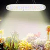 LED élèvent la lumière USB synchronisation gradation plante lumière succulente fleur suspendue LED Phyto lampe pour graines plantes fleurs serres tente