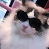 Moda Animal Sunglasses Piękne owalne okulary przeciwsłoneczne dla kotów Psy Pet Okulary