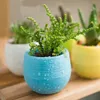 200pcs Gardening Flower Pots Small Mini Colorful Plastic Nursery Flower Planter Pots Garden Deco Gardening Tool a11214x9563033