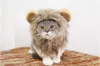 Pet Lion Costume Hat for Cat Cat Cat Costume Lion Hair Halloween Christmas Easter Party Cosplay Party Akcesoria