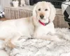 Orthopädisches Hundebett aus Kunstpelz, gebogen, weißer Teppich für große, mittelgroße und kleine Welpen, unterstützt das Fallenlassen LJ200918