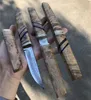 Högkvalitativ Japan Överlevnad Straight Kniv VG10 Damaskus Stål Drop Point Blade Shadow Wood Handtag Fasta Blad Knivar med Woods Meant