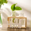Nordisk hydroponic vas hem dekoration modern glas behållare grön växt dekorativa vardagsrum skrivbord trä dekor tillbehör t200703