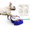 água automática para cães