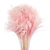 pink white color pampas grass decor dried natural flowers bouquets wedding flowers feather flowers tall 19-22 christmas decor 201201