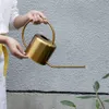 Golden Brass Watering Can Watering Pot Home Gardening Long Mouth Kettle Metal Garden Decors Waterings Spray Can 201204