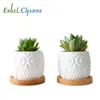 2 conjunto de vasos de vaso branco suculento de cerâmica com suporte de bandeja de bambu titular bonito cacto vasos bonsai plantadores desktop y200709