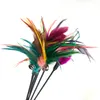 Игрушки для кошек Feather Wand Kitten Cat Teaser Turkey Feather Interactive Stick Toy Wire Chaser Wand Toy Random Color DH8888