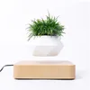 Flor de suspensão magnética Levitating Air Bonsai Pote Planta Suculenta Pátio Decoração Flor de Desktop / Verde C1111