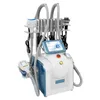 Altre attrezzature di bellezza Buona macchina sottile di congelamento grasso 3 gestisce la cavitazione della liposuzione ad ultrasuoni in vendita RF
