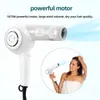 Professional Hair Dryer Negative Ion Blow Dryer Hot Warm Wind Strong Power Dryer Salon Style Tool Diffuser for Hair Dry