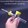 14mm 18mm Female Dab Sraw Oil Rig with Quartz Titanium Nail Tip Handmade Smoking Waer Pipe with Container Keck Clip 4 Styles for Option