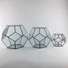 Office Tabletop Display Planter Succulents Plant Container Flower Pot Fairy Garden Polyhedron Glass Geometric Terrarium Bonsai Y200723