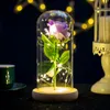 Ewige Rose, Blumen-Glaskuppel, LED-Licht, Geburtstag, Muttertag, Valentinstag, Jahrestag, Geschenk, Heimdekoration, JK2101XB