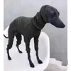 Solid Color Dog Odzież Hapt Cztery Nogi Długie Bib Odzież Pet Materiały Sweter Kamizelka Kurtka Gorąca Sprzedaż New Arrival 24LM M2