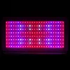 2000W Chips duplos 380-730nm Lumin LED LED LED Lâmpada Lâmpadas Branco Luzes por atacado