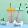 24oz Color Changing Confetti Cup Magic Plastic Drinking Tumblers with Lid and Straw Reusable Cold Cup Summer Beer Mugs CCA12574 50pcs