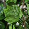 Luyue 10pcs folhas de uva de seda artificial folhas penduradas festão faux videira hera ao ar livre verde folhas de jardim decoração de casa de casamento 201222