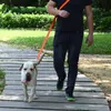 Stil Hundehalsband Sicherheitshalsband Haustierleinen Mode Teddy Schnauzer Verstellbarer Riemenkragen 2Mx2CM 201101