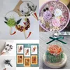 1 pudełko Real Suszone Kwiat Suche Rośliny Do Aromaterapii Świeca Naszyjnik Biżuteria Dokonywanie DIY Walentynki Gifts W-00617