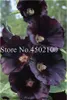 100 Pcs seeds Double Hollyhock Outdoor Blooming Subtropical Flower Bonsai Potted Althaea Rosea Plant Home Garden Decoration Decorative Landscaping Fresh Showy