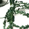 Ghirlande di materiali fai-da-te Festival Decorazione della sala da pranzo Foglie verdi Decorazioni per la casa Filo di ferro in plastica Rattan Vendita calda 2 7ql L1