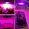 تصميم جديد 150W للماء LED تنمو أضواء عالية الجودة كامل ضوء الطيف أدى مصباح نمو النبات الأسود ce fcc بنفايات