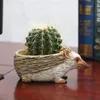 Pote de flores de resina de hedgehog fofa para suculentas plantas de cacto de cactos mini animais de origem dos animais de origem dos paisai artesanato de decoração de jardim t200529