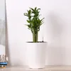 ピンクのプラスチック製の植木鉢