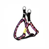 Rainbow Series Pet Dog Harness Gollar colorido Cão de cão impresso colorido Cole