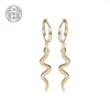 FebruariFrost Brand Punk långa örhängen för kvinnliga smycken 925 Sterling Silver Earring Fashion överdrivna ne Tassel Stud Earrin4631061