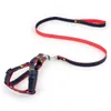 Denim Dog Leashes With Collar for Walking High Quality Large Small Dogs Rope Simple Color Harness Metal Button 2.5*120cm XL