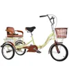 Tricycle pour personnes âgées, pousse-pousse, Scooter pour personnes âgées, pédale, Double vélo, Tricycle pour adultes, ramassage et dépôt des enfants